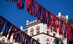 Domenica mattina2011-7683